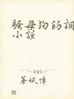 骚母狗的调教h小说