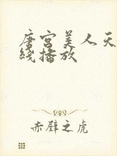 唐宫美人天下在线播放