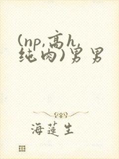 (np,高h,纯肉)男男