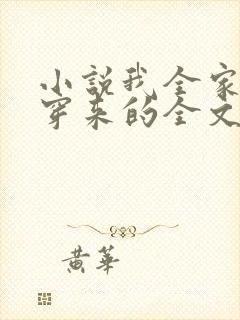 小说我全家都是穿来的全文