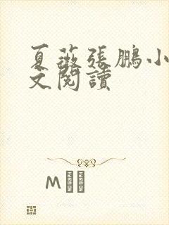 夏薇张鹏小说全文阅读