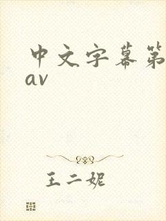 中文字幕第十页av