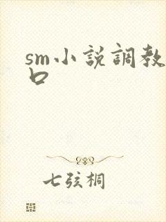 sm小说调教重口封面