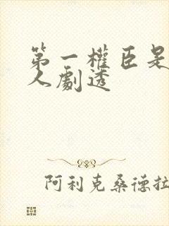 第一权臣是病美人剧透封面