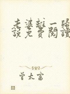 老婆离一归二小说免费阅读全文封面