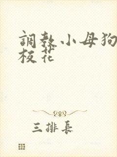调教小母狗辣文校花封面