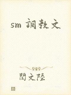 sm 调教文