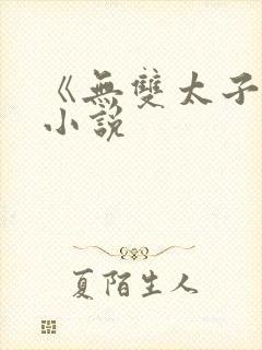《无双太子爷》小说