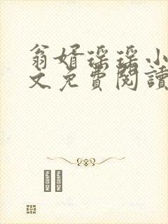 翁婿瑶瑶小说全文免费阅读最新章节封面