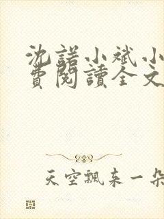 沈诺小斌小说免费阅读全文最新章节