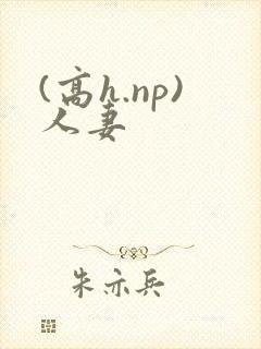 (高h.np)人妻封面