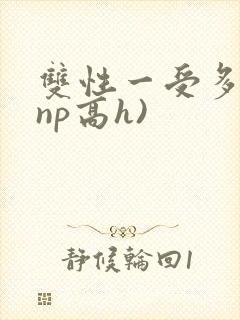 双性一受多攻(np高h)