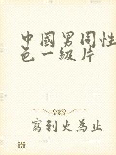 中国男同性恋黄色一级片