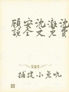 顾安沈澈沈清小说全文免费阅读封面