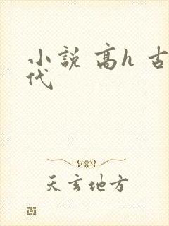 小说 高h 古代
