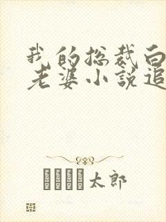 我的总裁白富美老婆小说追书