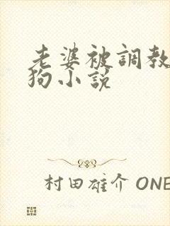 老婆被调教成母狗小说