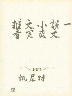 推文小说一口气看完爽文