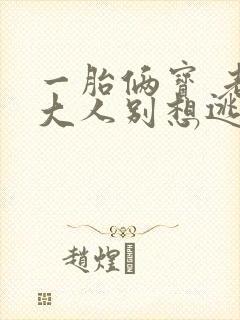 一胎俩宝 老婆大人别想逃全文免费阅读封面