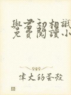 与君初相识全文免费阅读小说