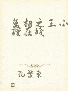 万相之王小说阅读在线封面