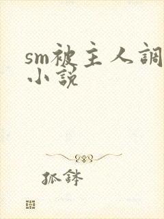 sm被主人调教小说封面