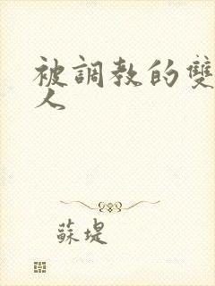 被调教的双性美人封面