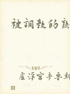 被调教的熟妇封面