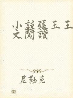 小说张玉王涛全文阅读