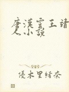 唐汉霄王靖雯同人小说封面