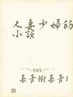 人妻少妇的悲哀小说封面