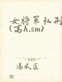 女将军私刑凌虐(高h,sm)封面