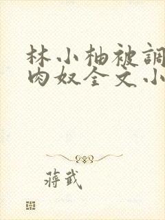 林小柚被调教成肉奴全文小说