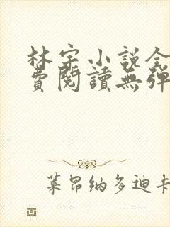 林宇小说全文免费阅读无弹窗