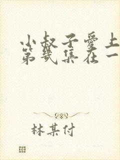 小叔子爱上嫂嫂第几集在一起封面