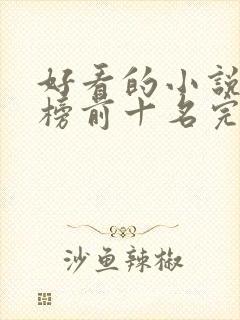 好看的小说排行榜前十名完结