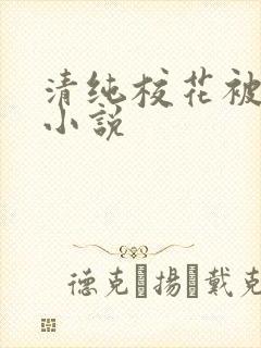 清纯校花被调教小说