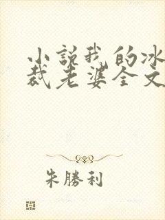 小说我的冰山总裁老婆全文阅读