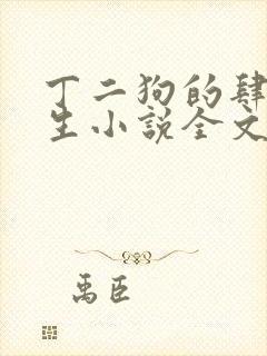 丁二狗的肆意人生小说全文下载封面