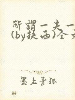 所谓一夫一妻制(by扶西)全文阅读