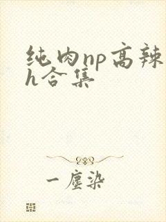 纯肉np高辣文h合集
