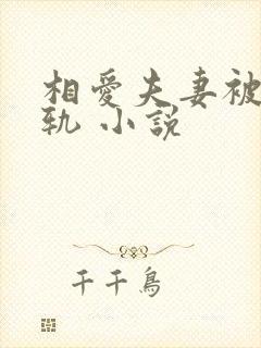 相爱夫妻被迫出轨 小说封面