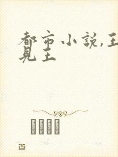 都市小说,王不见王