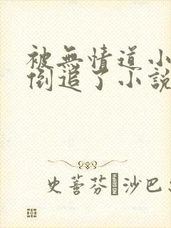 被无情道小师弟倒追了小说完整版