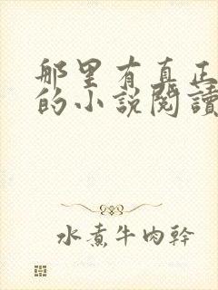 那里有真正免费的小说阅读