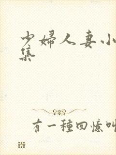 少妇人妻小说合集封面