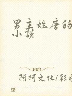 男主姓唐的总裁小说