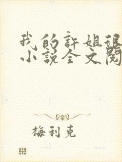 我的许姐很温柔小说全文阅读