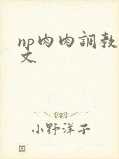 np肉肉调教辣文