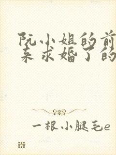 阮小姐的前夫又来求婚了的小说封面